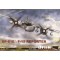 XP-61E/F-15 REPORTER