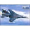 MIRAGE F1CT